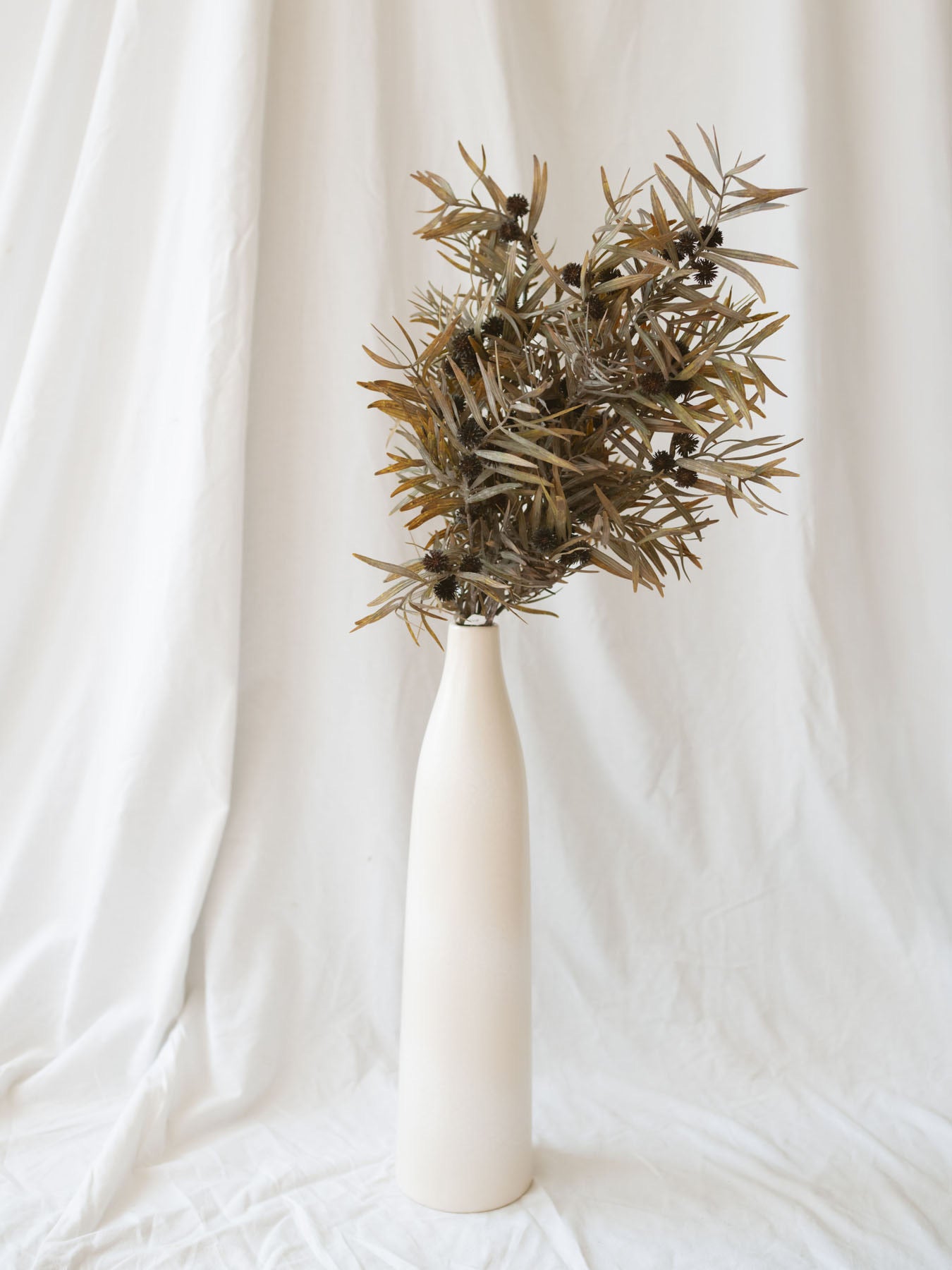 Brown thistle foliage stem sitting in tall matte cream vase.
