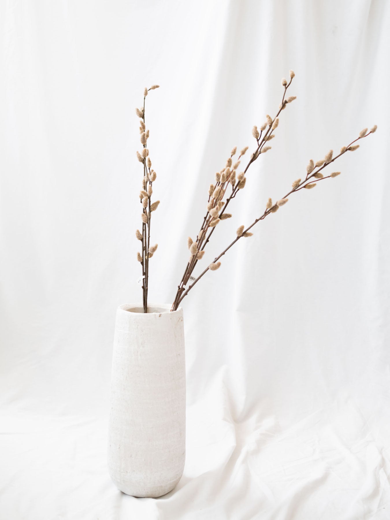 The tan florist stem sitting in white tall vase in front of white linen backdrop.