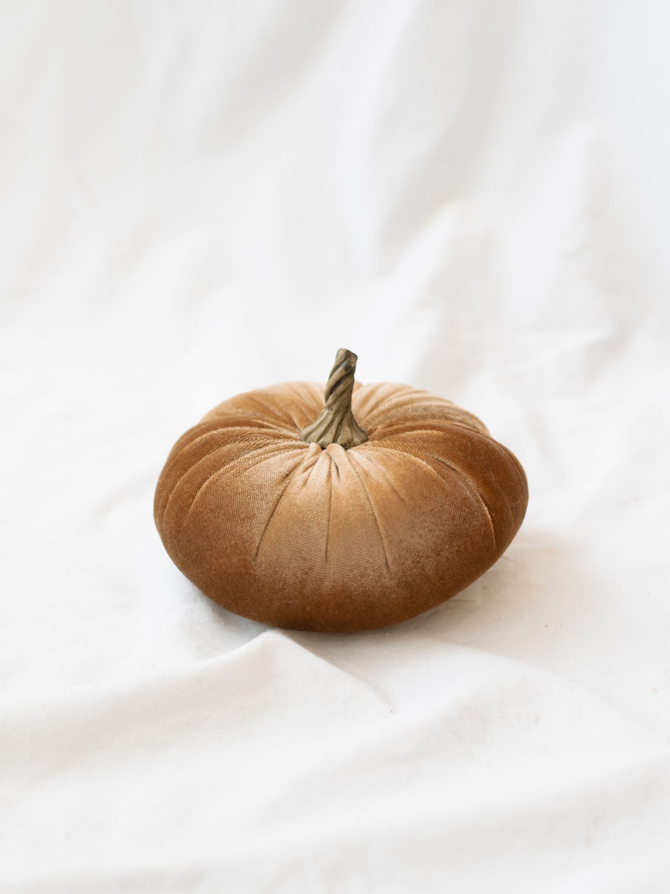 Champagne color of the velvet pumpkin sitting on white linen backdrop.