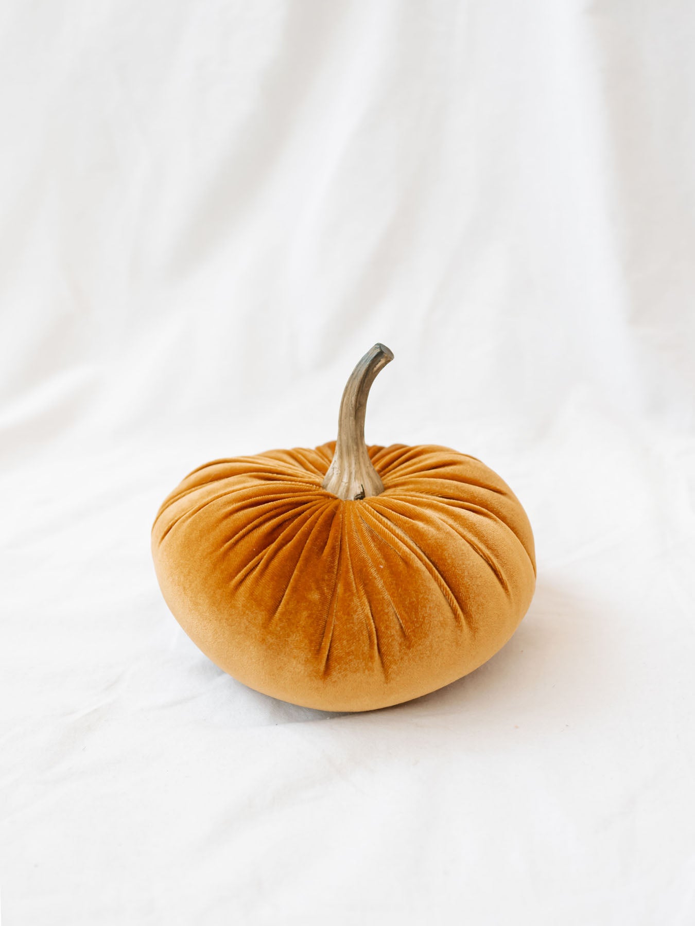 Orange color of the velvet pumpkin sitting on white linen backdrop.