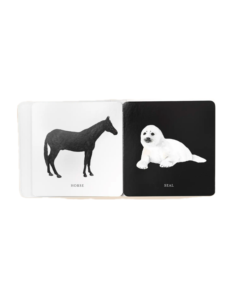 3x4 product photos template.zip - 13.png