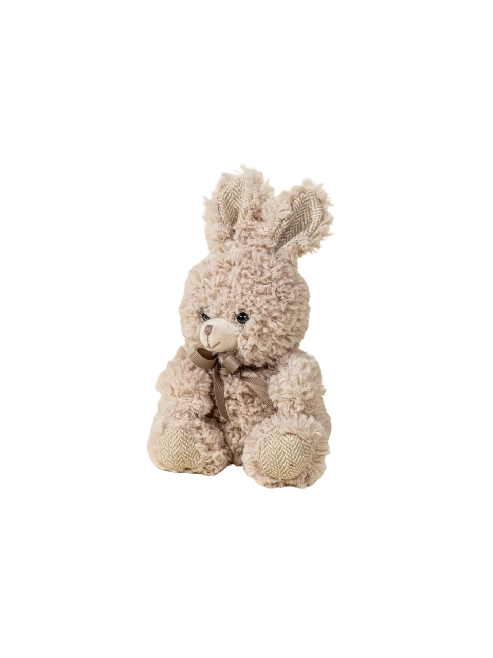 Resize + White Background Photos - 9.png