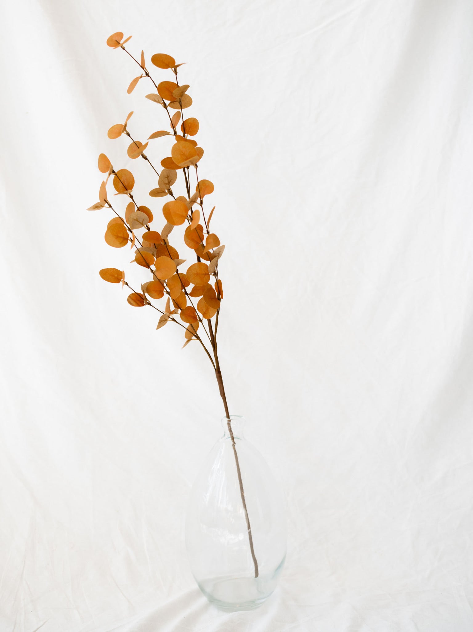 Yellow two tone artificial eucalyptus stem sitting in a clear glass vase on white linen backdrop.