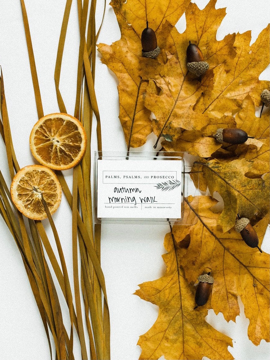 Capture the crisp air of fall with our Autumn Morning Walk Soy Wax Melts. Earthy cedar, spiced apple, and essential oils create the ultimate cozy vibe. Shop now!