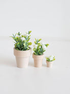 three sizes of dollhouse white flower potted plants on a white background