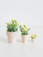 three sizes of dollhouse yellow flower potted plants on a white background