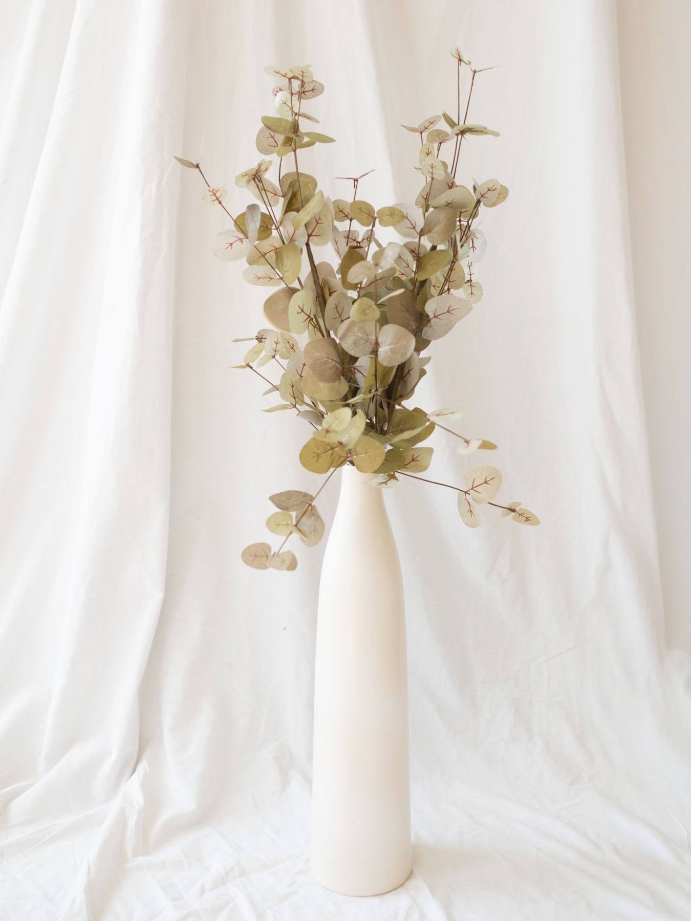Green Two Tone Eucalyptus Stem sitting in tall matte cream vase. 