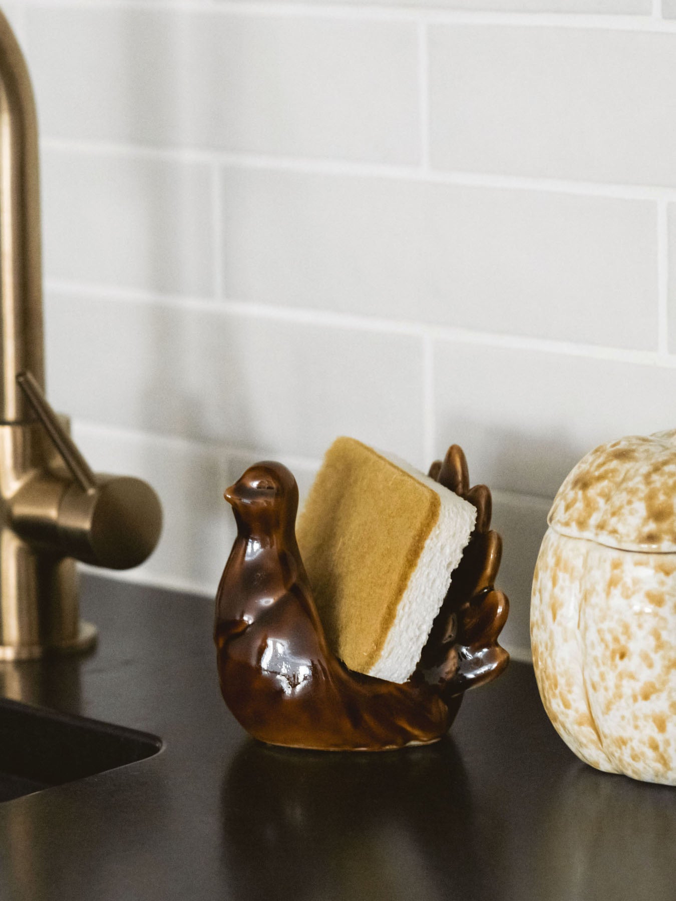 Turkey sponge holder styled neck to the sink sitting by our stoneware pumpkin jar with lid. 