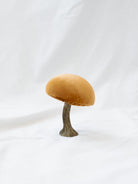 The mustard color mushroom set up on a white linen backdrop. 