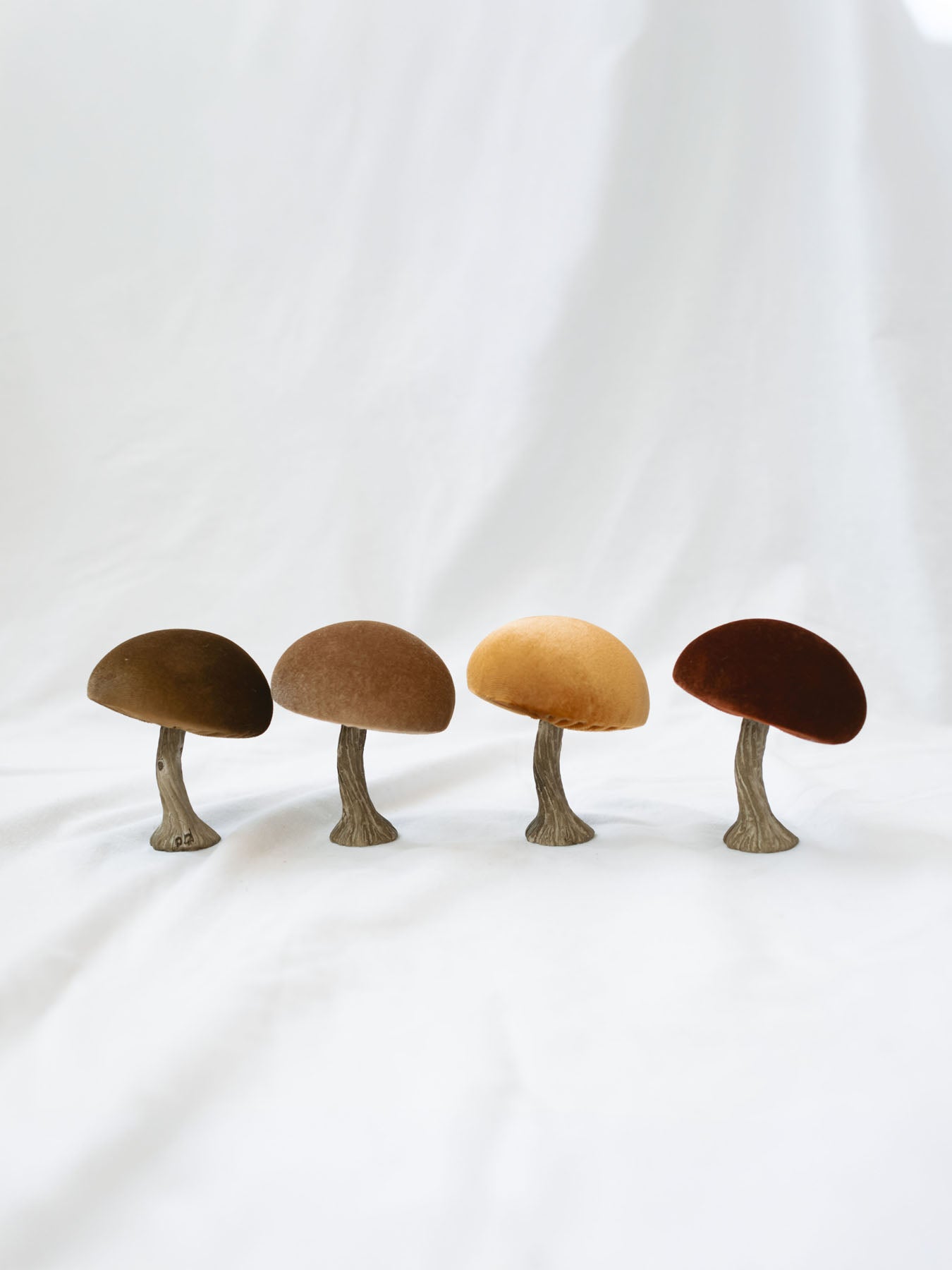 The 4 mushrooms lined up next to each other to show the 4 color options.