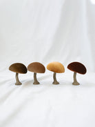 The 4 mushrooms lined up next to each other to show the 4 color options.