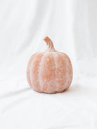 Large size of the terracotta orange pumpkin sitting on white linen backdrop. 