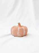 Small size of the terracotta orange pumpkin sitting on white linen backdrop. 