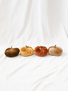 Velvet pumpkin in a line showing every color that they are available in. Tan, orange, rust, and champagne. 