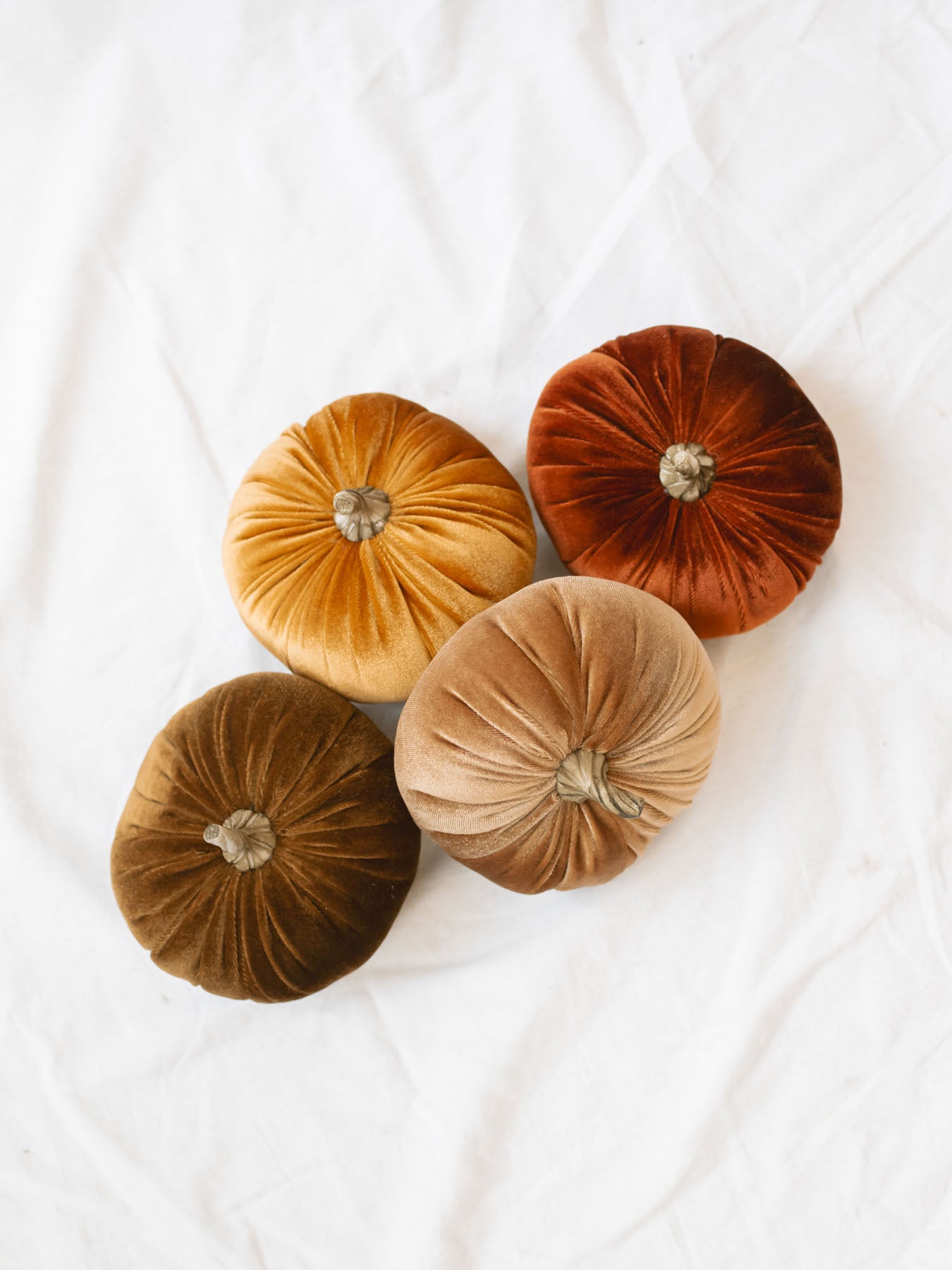 Velvet pumpkin in a pile showing every color that they are available in. Tan, orange, rust, and champagne. 