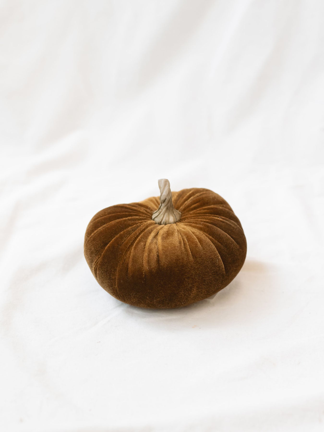 Tan color of the velvet pumpkin sitting on white linen backdrop. 