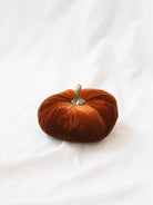 Rust color of the velvet pumpkin sitting on white linen backdrop. 