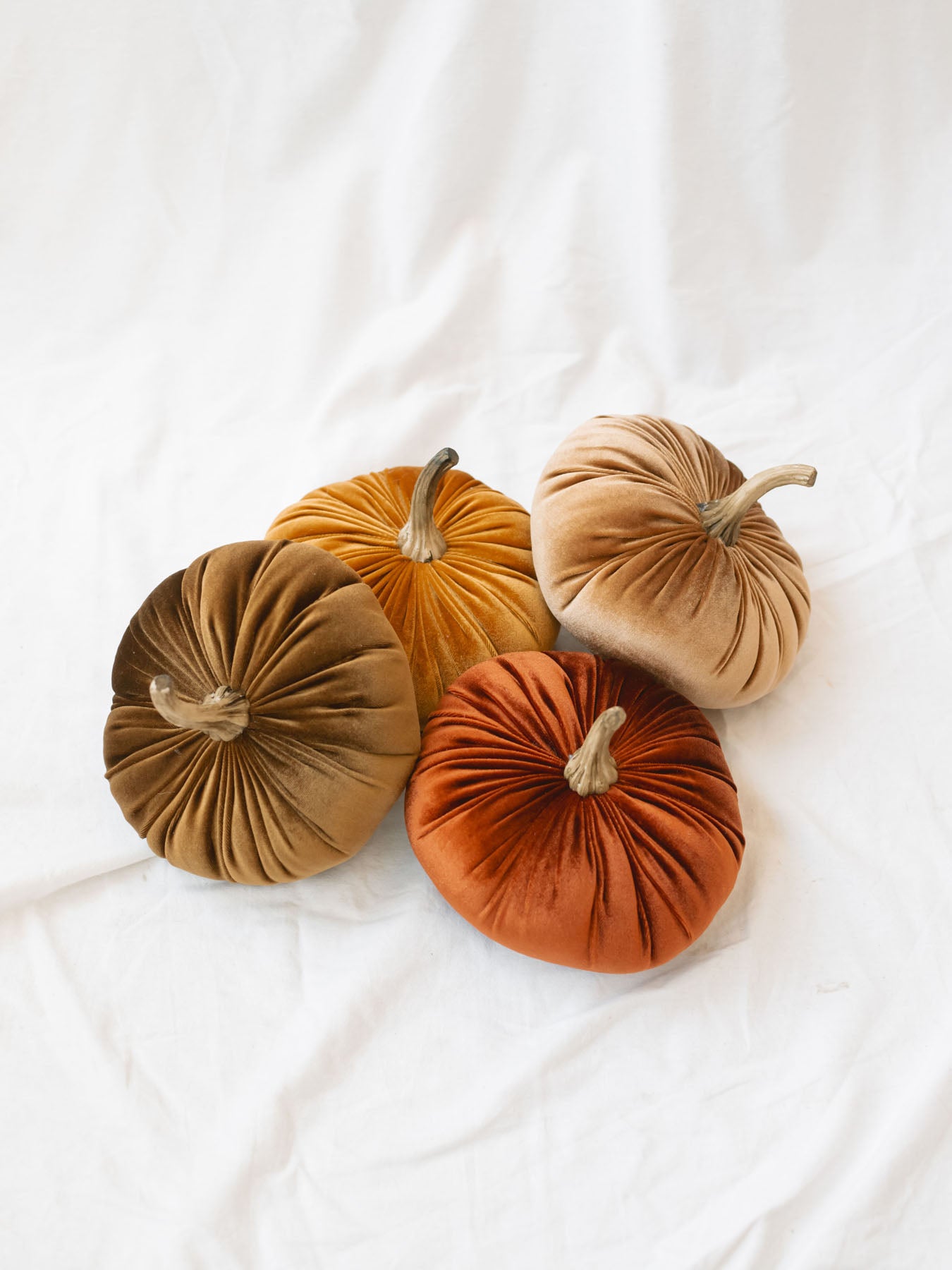 Larger size velvet pumpkins sitting in a pile to show the 4 different colors. 