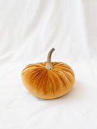 Orange color of the velvet pumpkin sitting on white linen backdrop. 