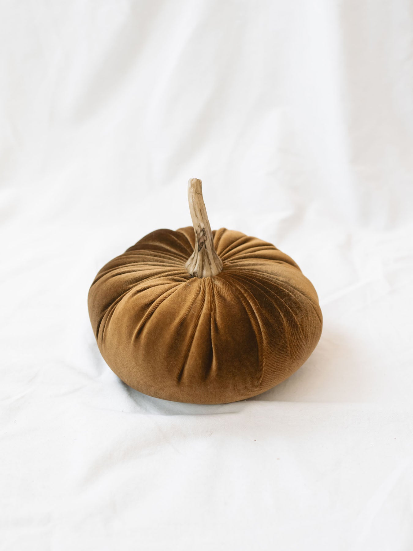 Tan color of the velvet pumpkins sitting on the white linen backdrop. 