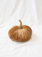 Champagne color of the velvet pumpkins sitting on the white linen backdrop. 