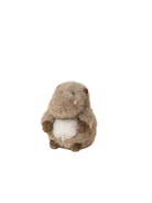 Resize + White Background Photos - 7.png