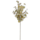 Two tone green eucalyptus stem on white background.
