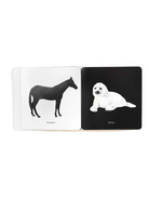 3x4 product photos template.zip - 13.png