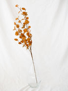 Yellow two tone artificial eucalyptus stem sitting in a clear glass vase on white linen backdrop. 
