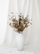 Two tone tan eucalyptus stem in white vase sitting in front of white linen backdrop.